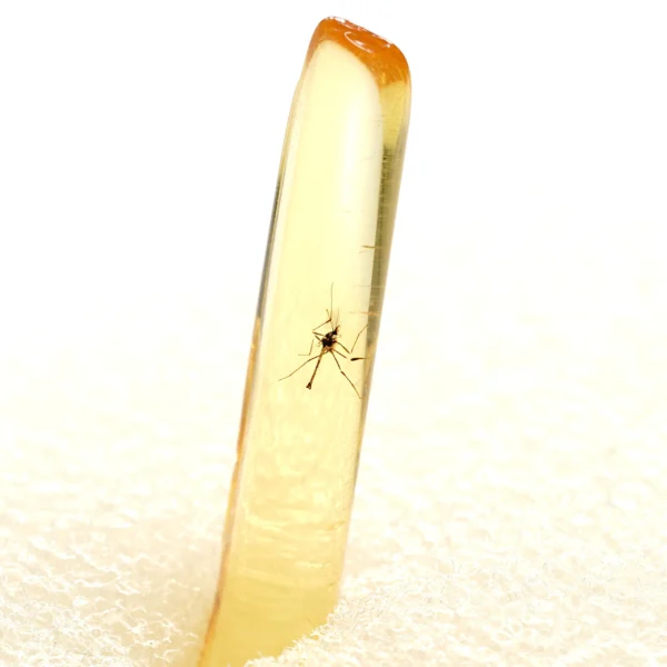 Alternative view of Inkliuzas "Užrakintas laike" -199-