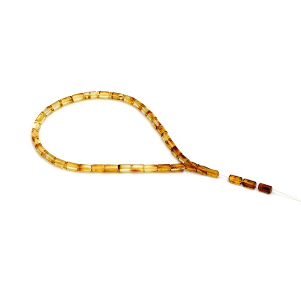 Alternative view of Rožančius Tasbih "Arin"