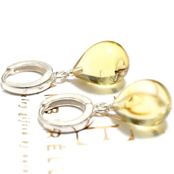 Auskarai iš natūralaus Baltijos gintaro su inkliuzu