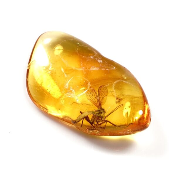 Inkliuzas "Užrakintas laike" -321- - Image 5