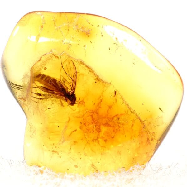 Inkliuzas "Užrakintas laike" -347- - Image 4